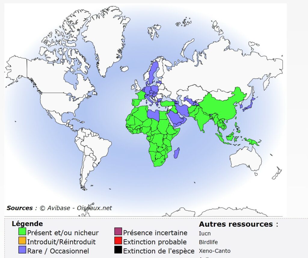 répartition de l'Élanion blanc